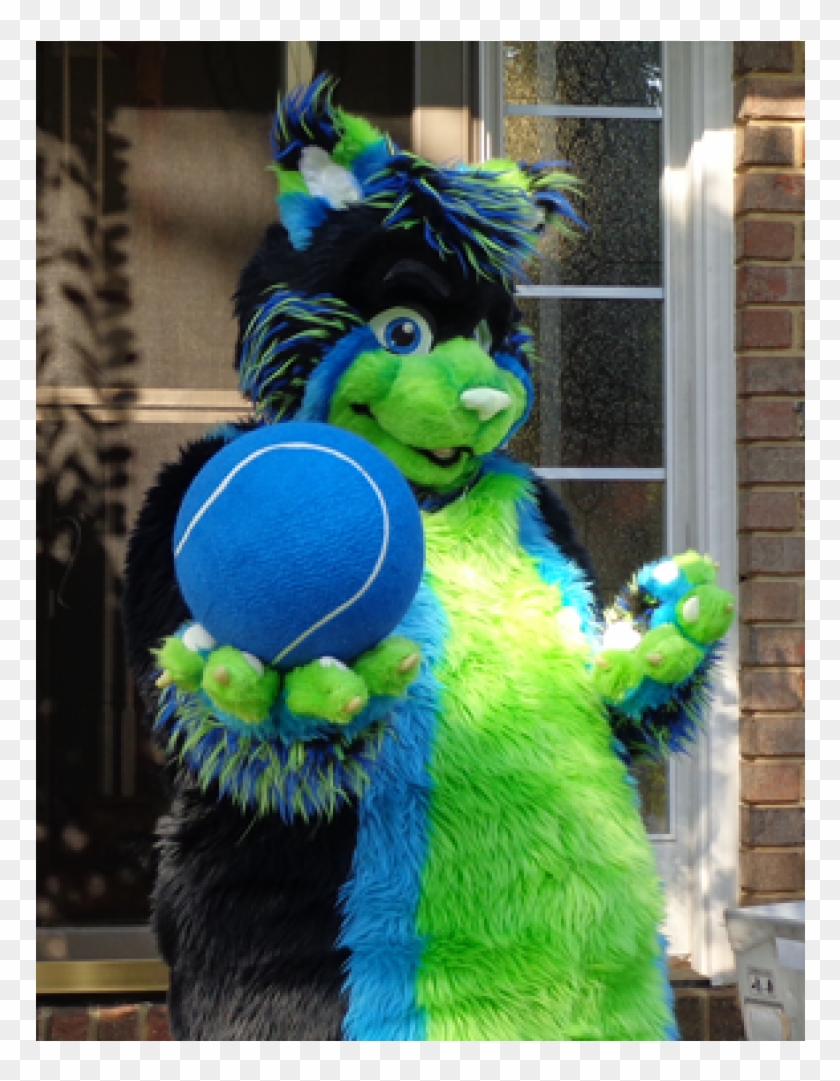 Macaw Clipart #1803383