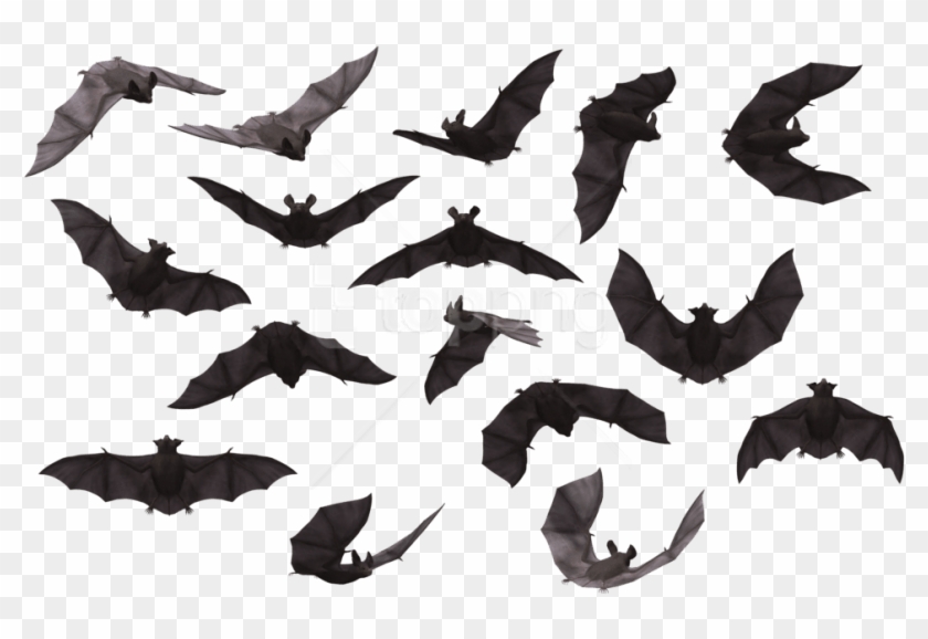 Download Bat Png Images Background - Halloween Codes For Roblox High School Clipart