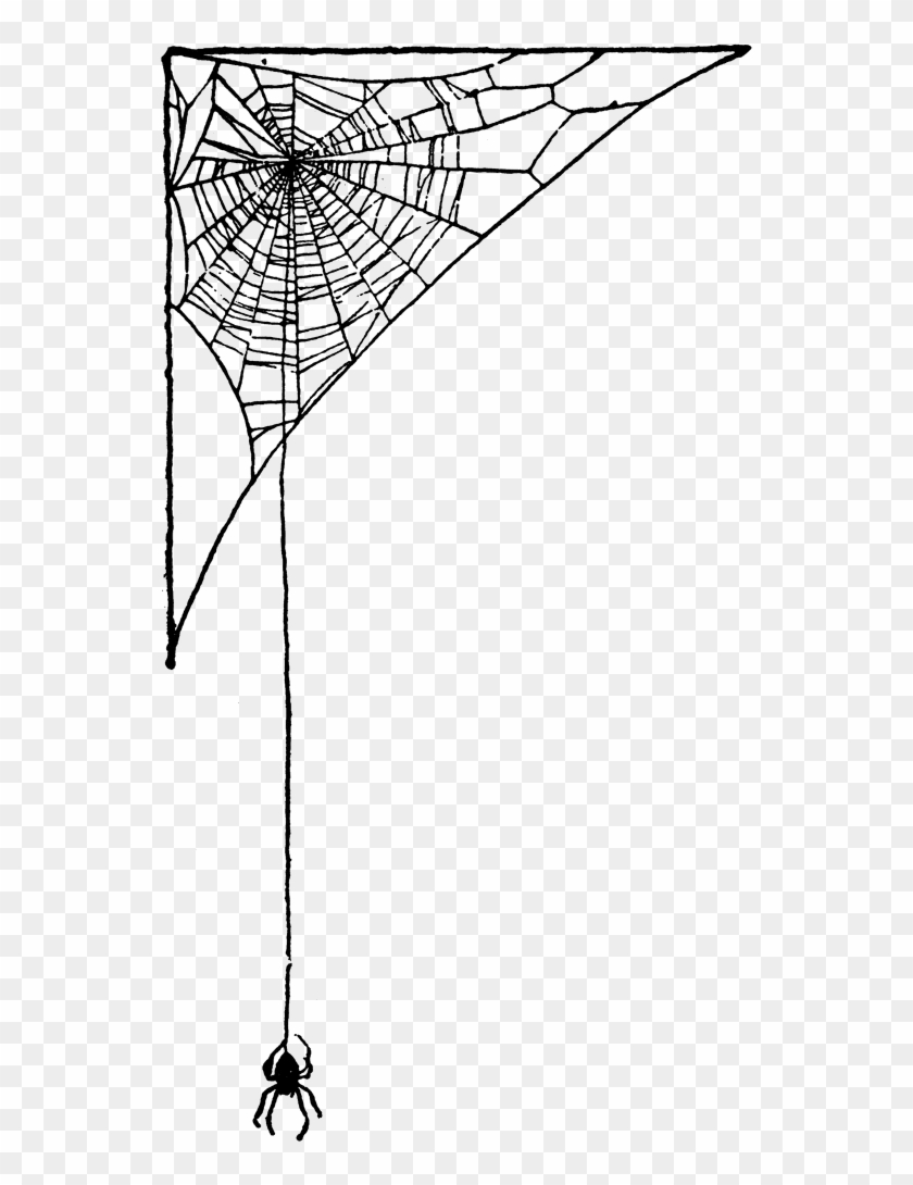 Spider-web - Streetball Clipart #1803986