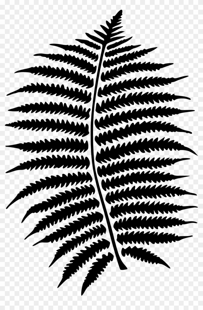 Download Png - Clip Art Ferns Clipart Transparent Png #1804287