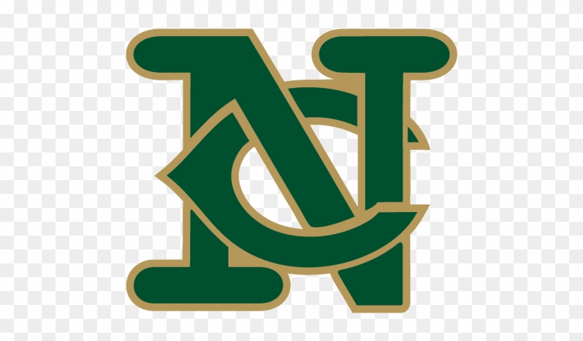 Fall - Newbury Nighthawks Logo Clipart #1804352