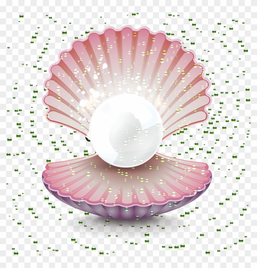Pearl Gemstone Clip Art Shell - 卡通 珍珠 - Png Download #1804399