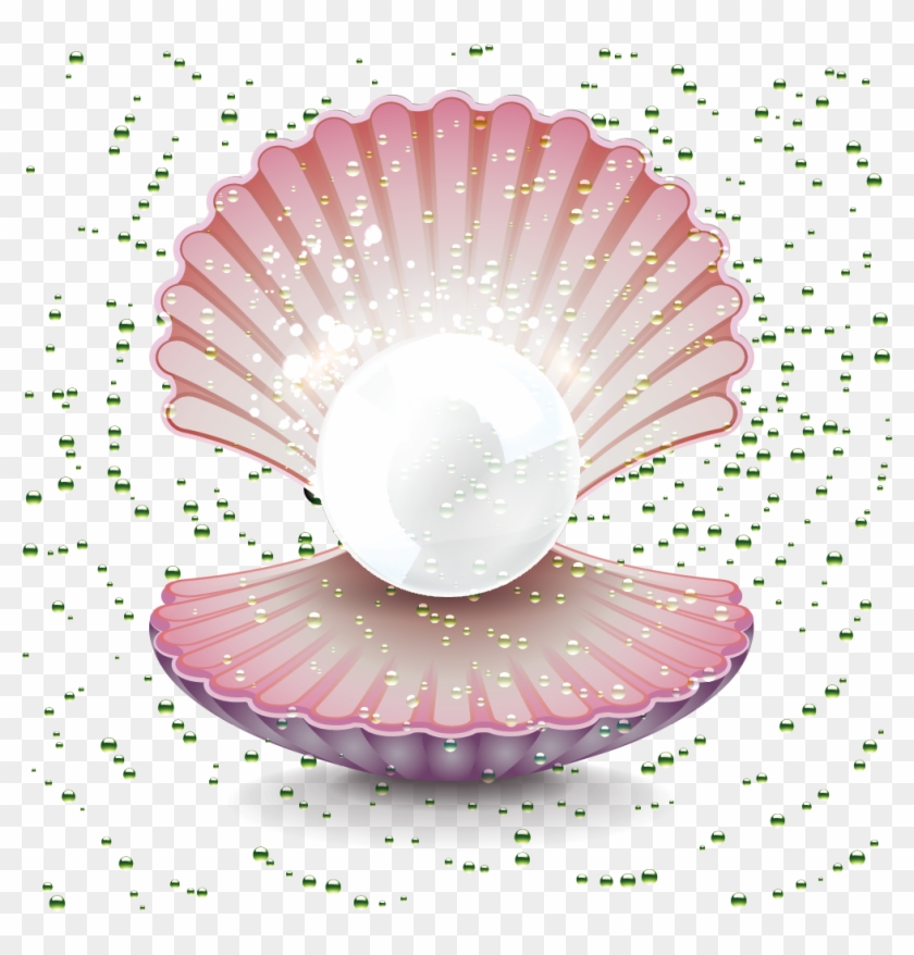 Pearl Gemstone Clip Art Shell - 卡通 珍珠 - Png Download