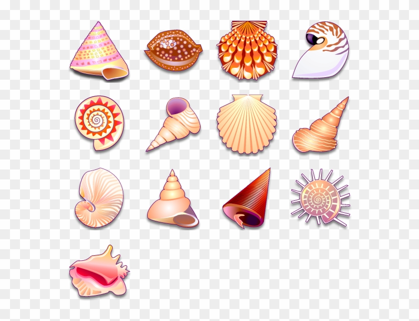 13 Free Icons, Icon Search Engine - Sea Shell Vector Png Clipart #1804489