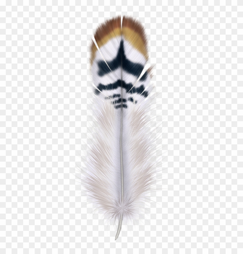 Фотки Blue Feather, Feather Art, Bird Feathers, Colored - 羽毛 Clipart #1804589