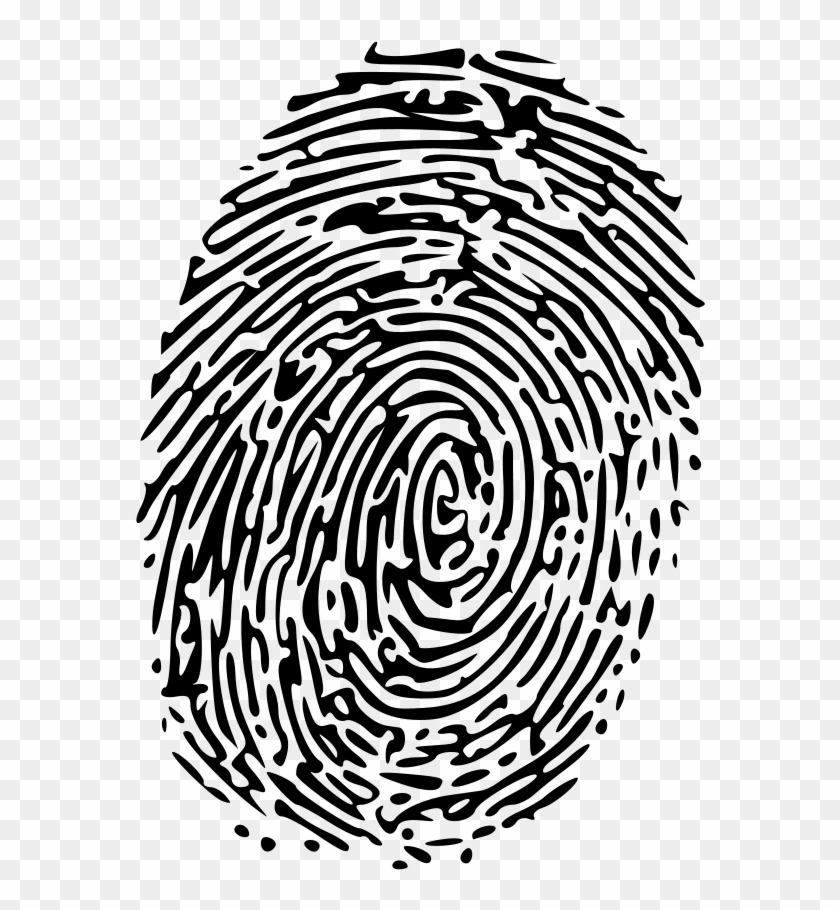 Fingerprint Clipart Similar - Vector Fingerprint Transparent - Png Download #1804630