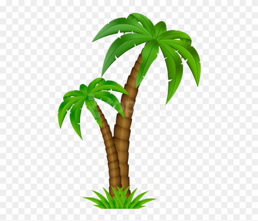 Free Png Download Palm Cartoon Png Images Background - Cartoon Transparent Background Palm Tree Png Clipart