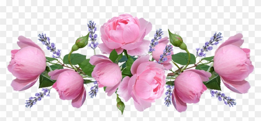 Roses, Pink, Flowers, Lavender, Arrangement - Garden Roses Clipart