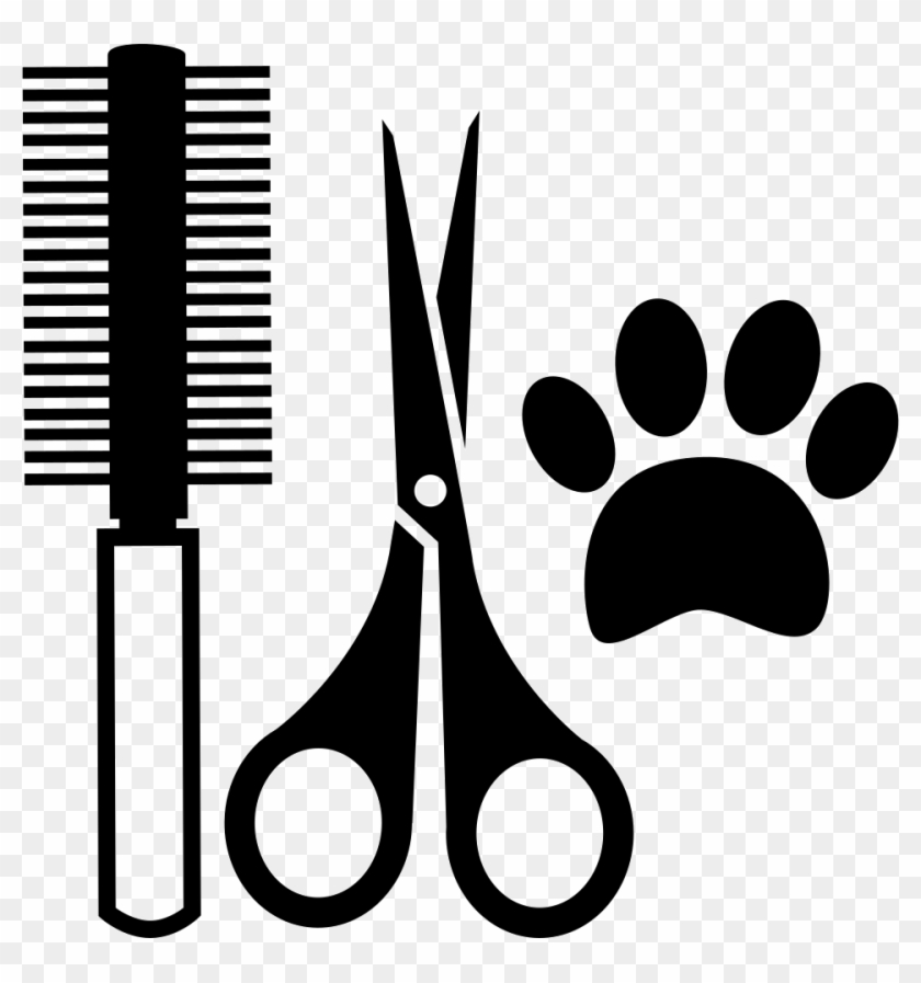 Png File Svg - Herramientas De Un Veterinario Para Colorear Clipart