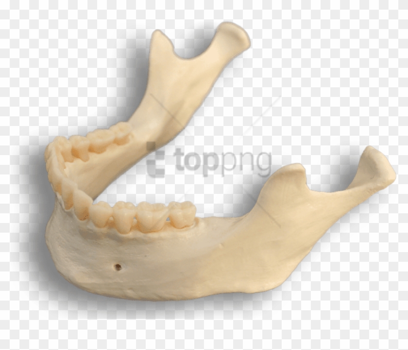 Free Png Download Mandible Bone Png Images Background - Smile Clipart #1807977