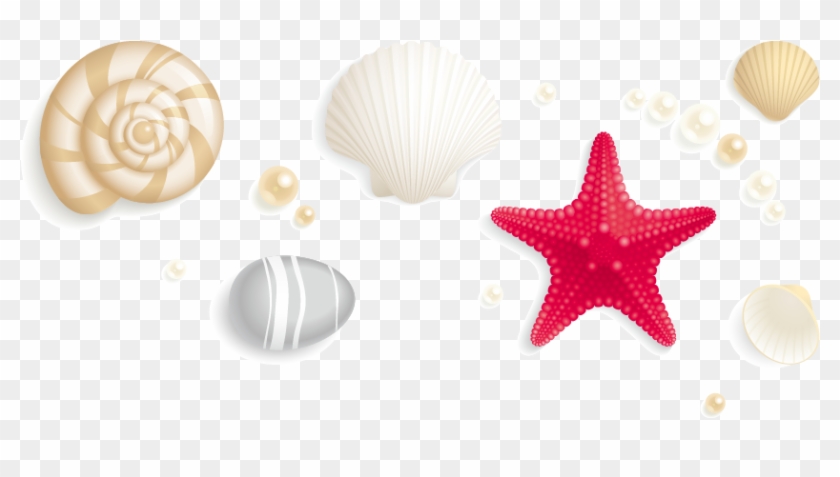Jpg Free Download Seashell Stock Photography Royalty - Starfish Pearl Png Clipart #1808416