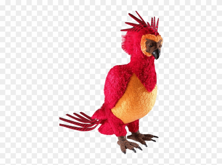 Download Fawkes The Phoenix Plush Phoenix Plush Harry Potter Clipart 1809129 Pikpng