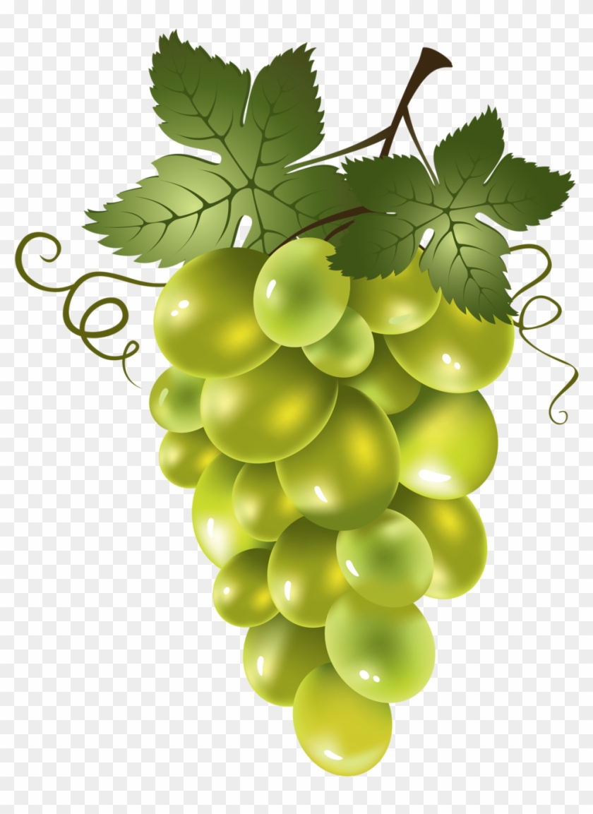 Яндекс - Фотки - Red Seedless Grapes Clip Art - Png Download #1809728