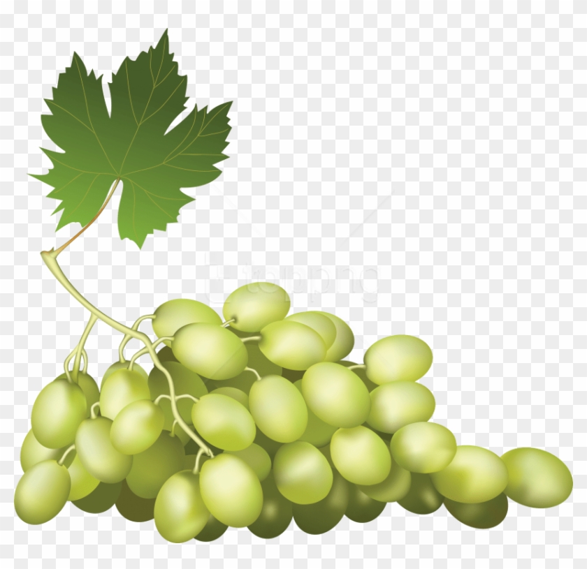 Free Png Download Grapes Png Images Background Png - Wine Grapes Png Clipart #1809872