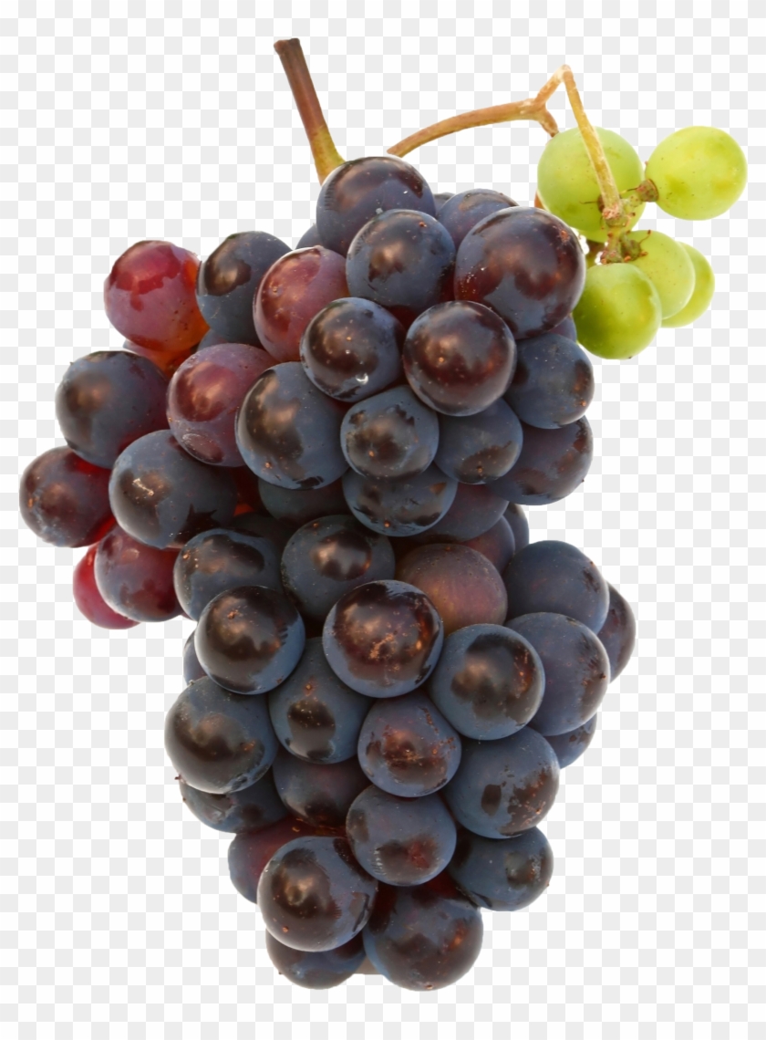 Black Grapes Png Free Commercial Use Image - Grape Hd Clipart #1809901