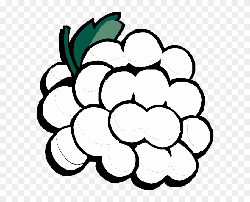 Grapes - Grapes Clip Art - Png Download