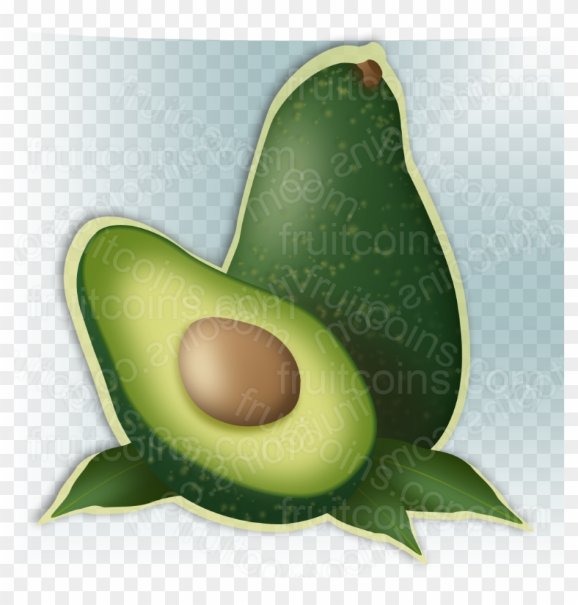 Avocado - Illustration Clipart