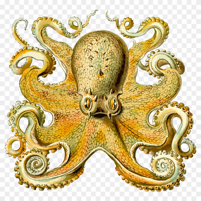 This Free Icons Png Design Of Octopus 2 Clipart