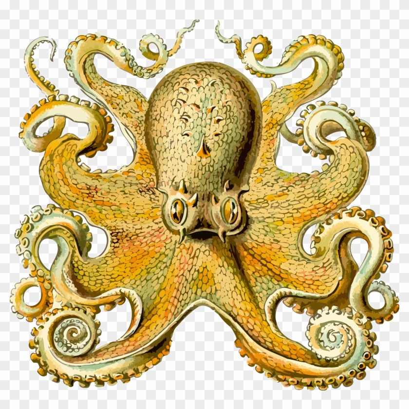 This Free Icons Png Design Of Octopus 2 Clipart #1810940