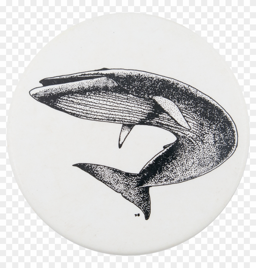 Blue Whale Png Black And White Clipart #1811446