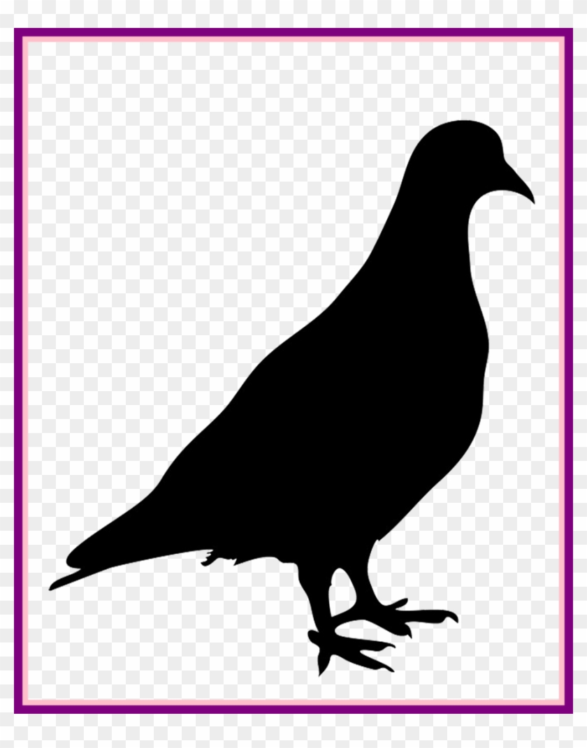 Drawn Pidgeons Crow - Transparent Pigeon Silhouette Clipart