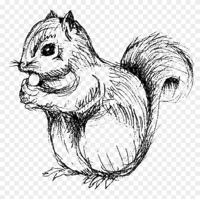 Drawn Squirrel Totem Pole - Squirrel Black And White Png Clipart #1812432