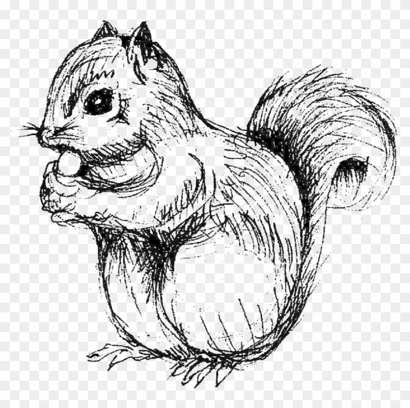 Drawn Squirrel Totem Pole - Squirrel Black And White Png Clipart