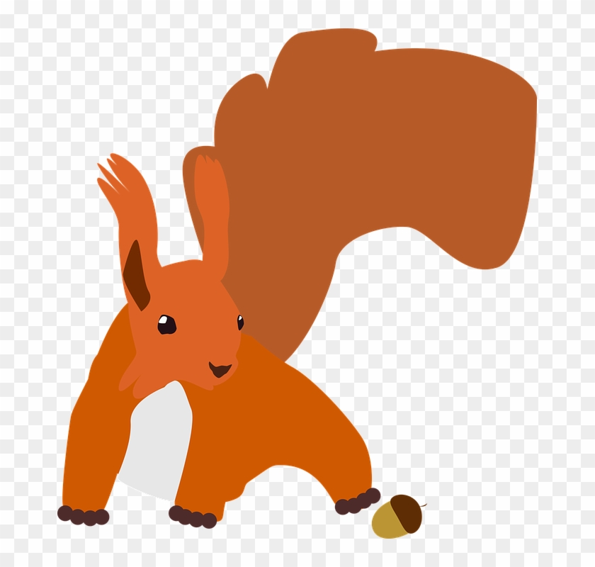 Squirrel Nager Autumn - กระรอก Png Clipart #1812569