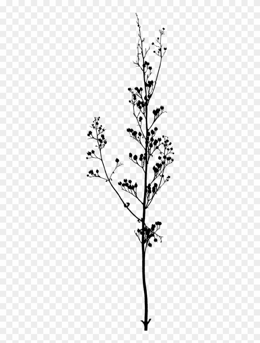 Branches Png - Black And White Flowers On Branch Clipart