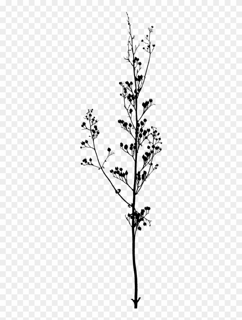 Branches Png - Black And White Flowers On Branch Clipart #1813925