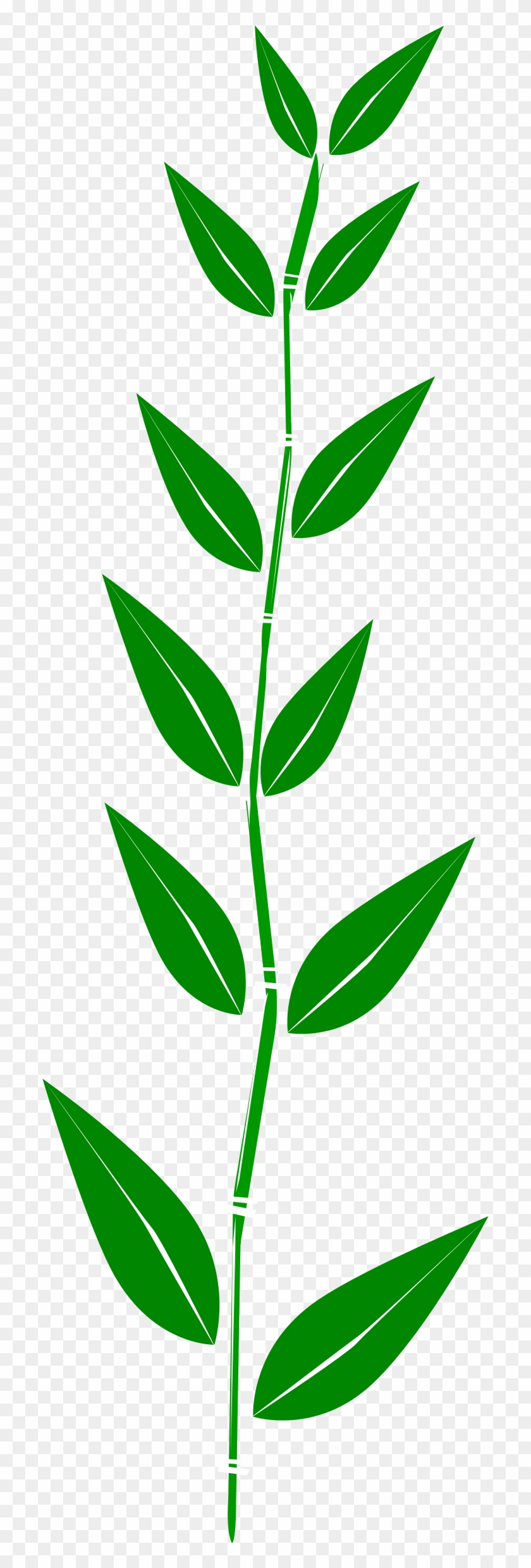 This Free Icons Png Design Of Bamboo,leaf Clipart