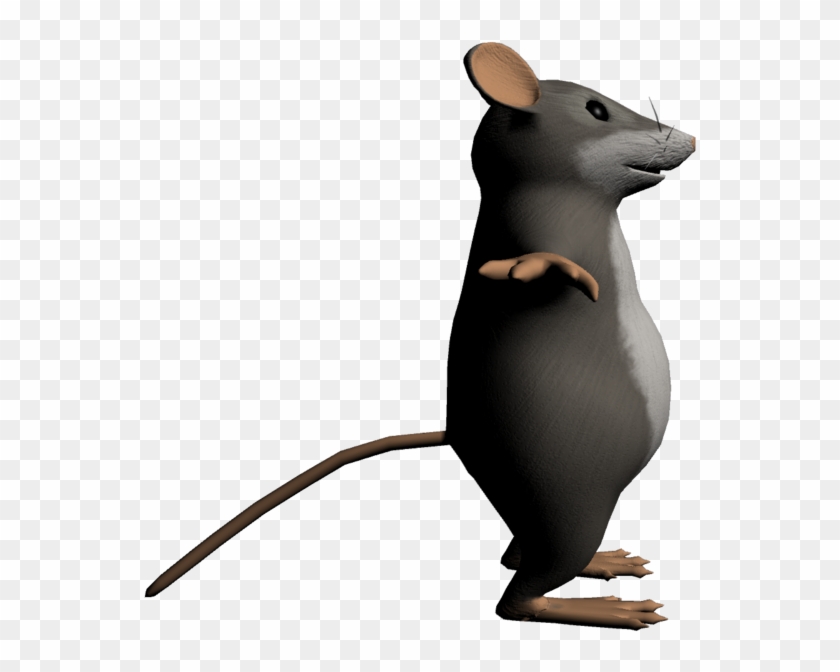3d Model Rat - 3d Rat Png Clipart #1814974