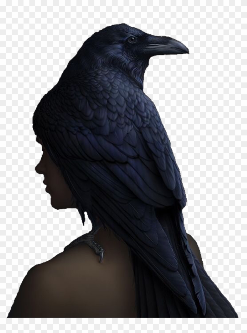 Portraitphotography Sticker - American Crow Clipart