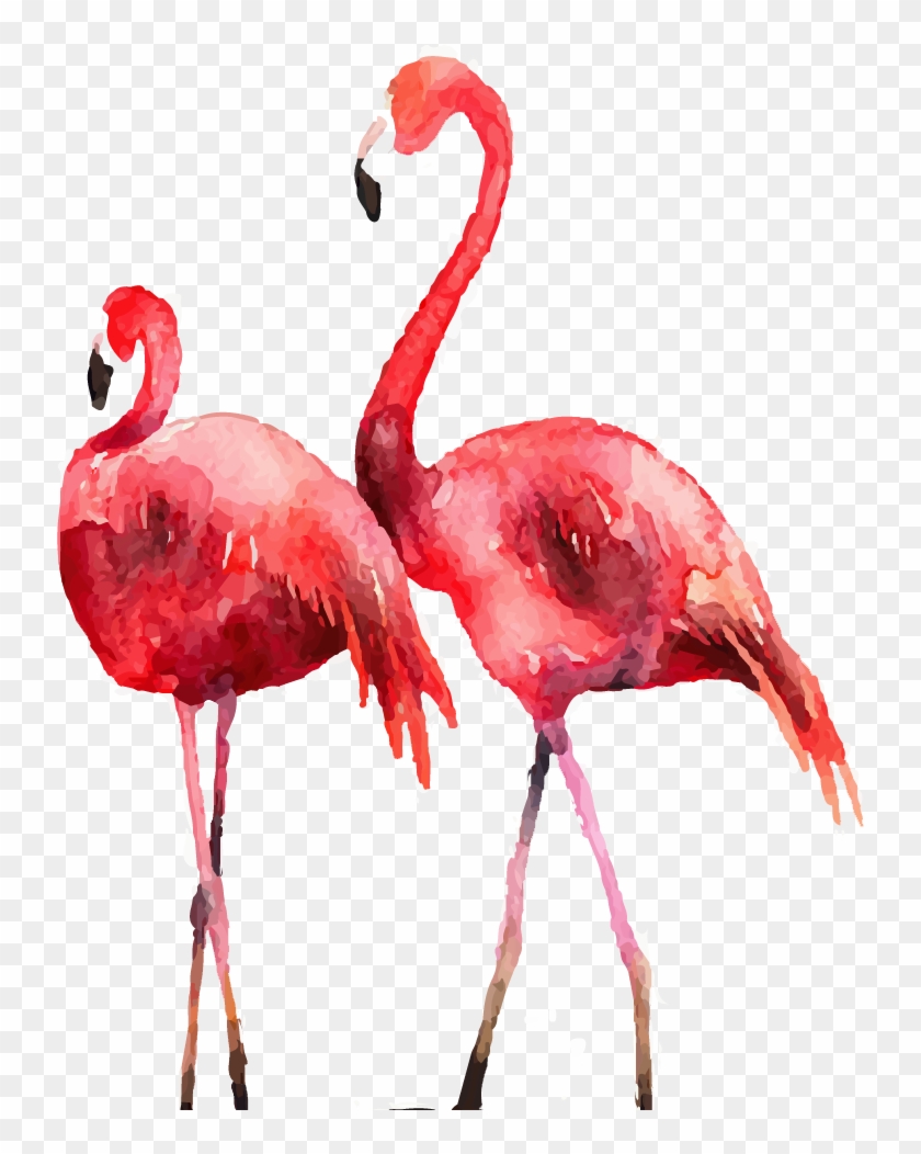 Pin By Eric Nguyen - Flamingo Painting Hd Clipart