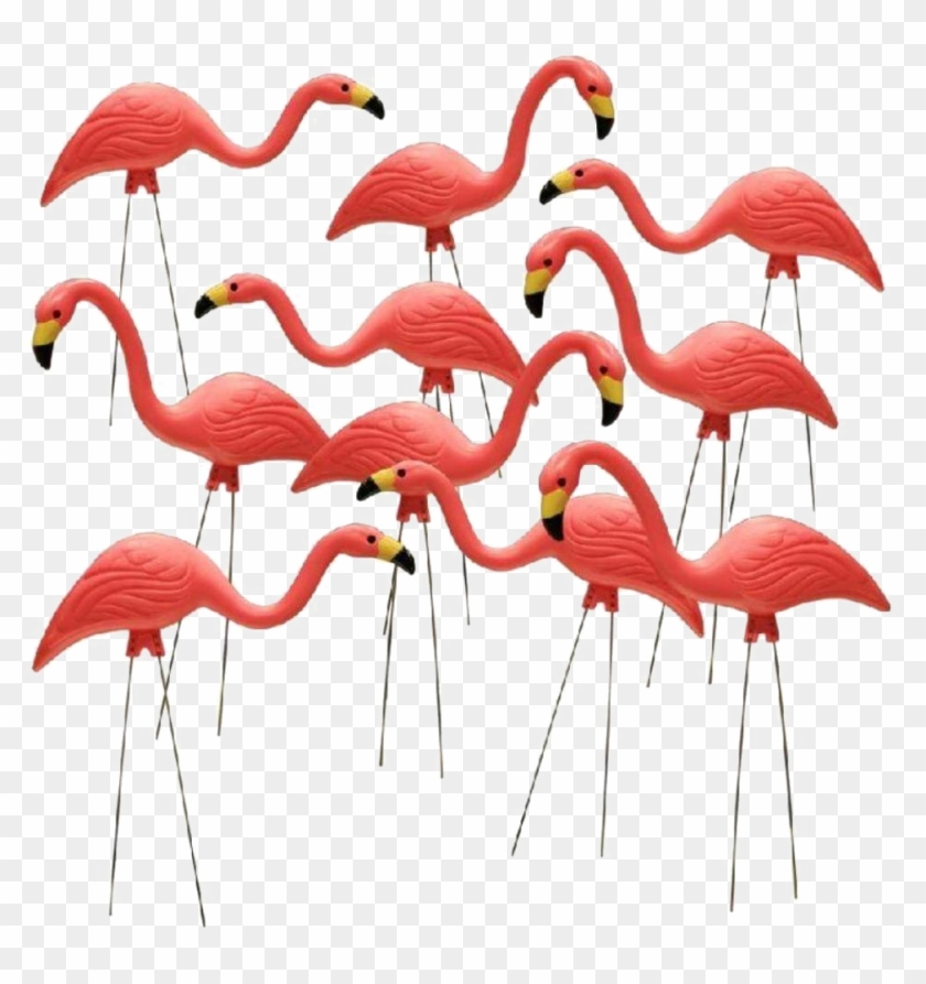 Flamingo Download Transparent Png Image - Yard Flamingos Clipart #1817224