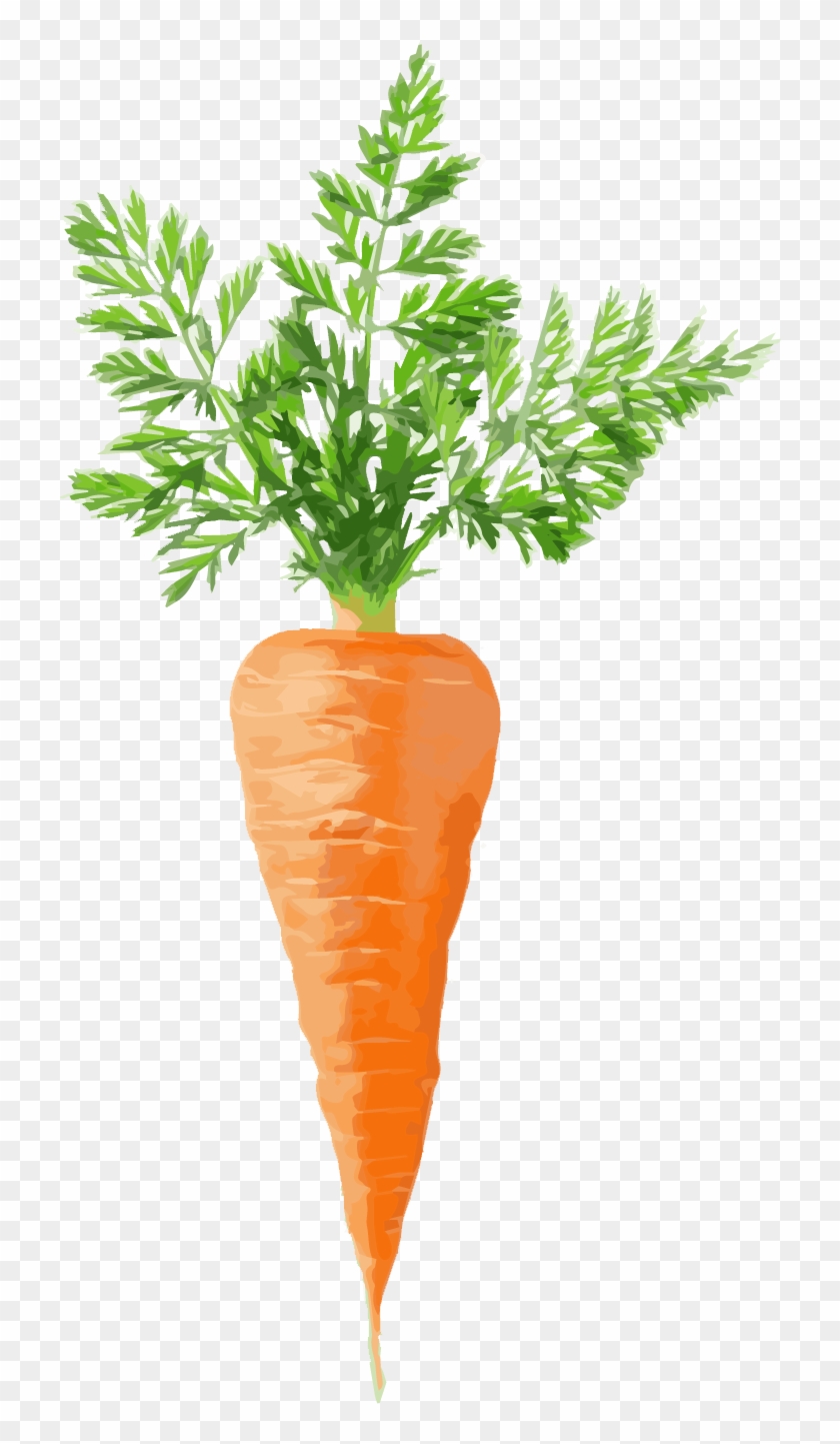 Carrot - Donald Trump As A Carrot Clipart #1818153