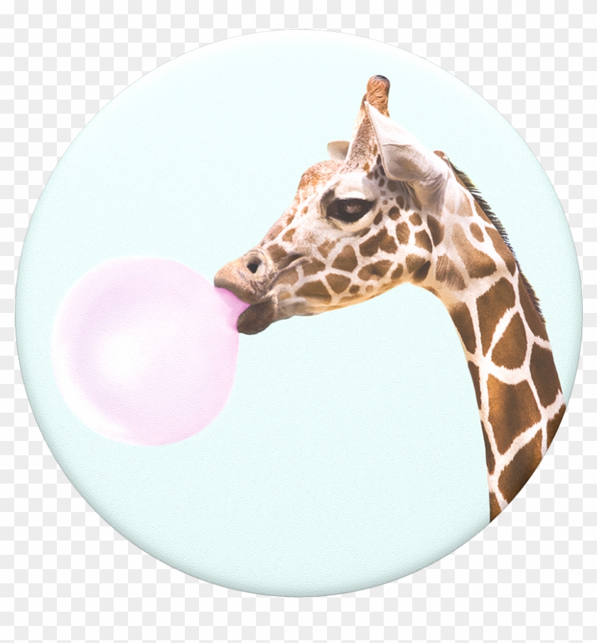 Bubblegum Giraffe, Popsockets - Giraffe Bubblegum Popsocket Clipart