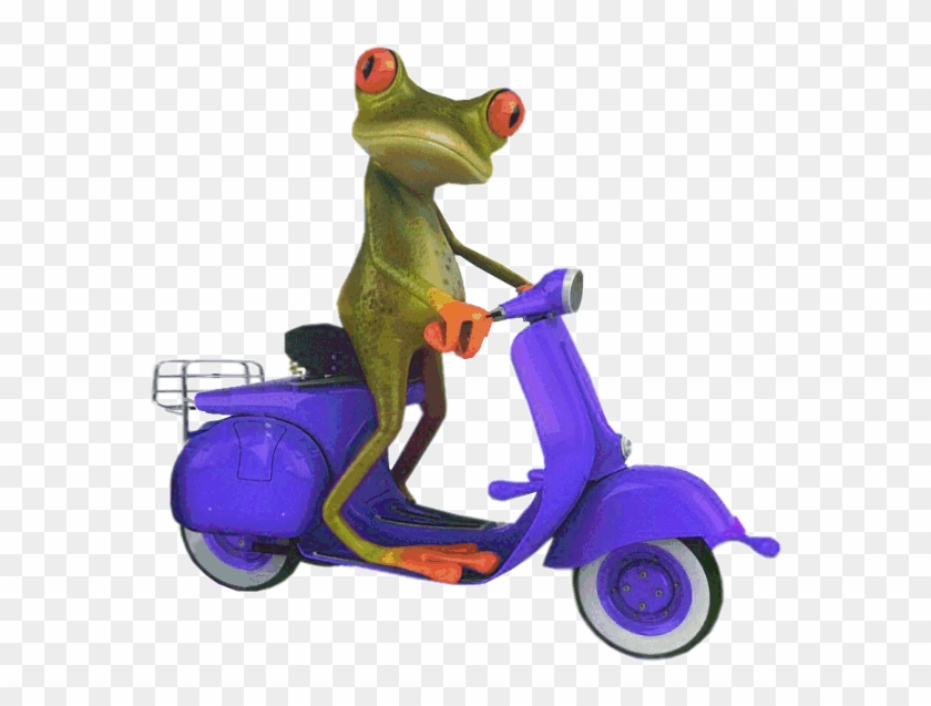 Blue Scooter Frog - Frog On Scooter Png Clipart