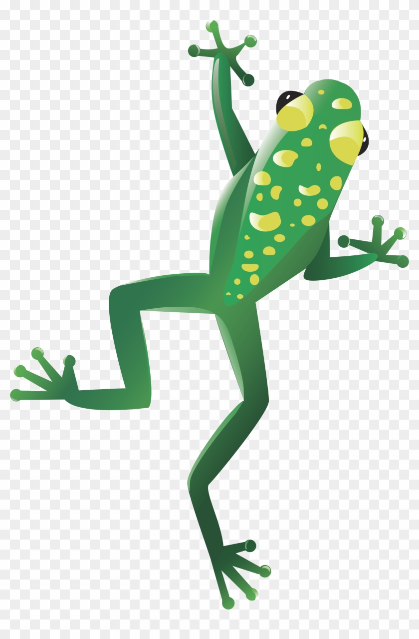 Frog Clipart #1818519