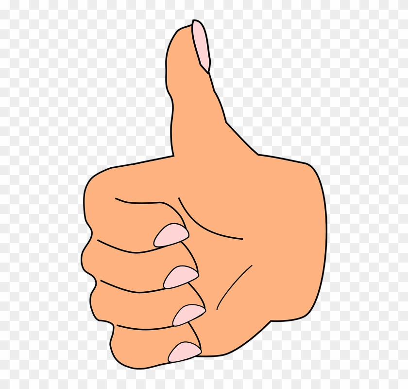 Thumb Up Thumb Like Correct Hand Fingers Positive - Thumb Clipart - Png Download