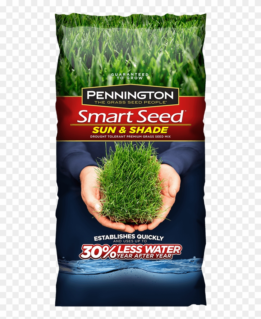 Shrub Bushes Clipart Plant Seed - Pennington Sun And Shade Mix - Png Download