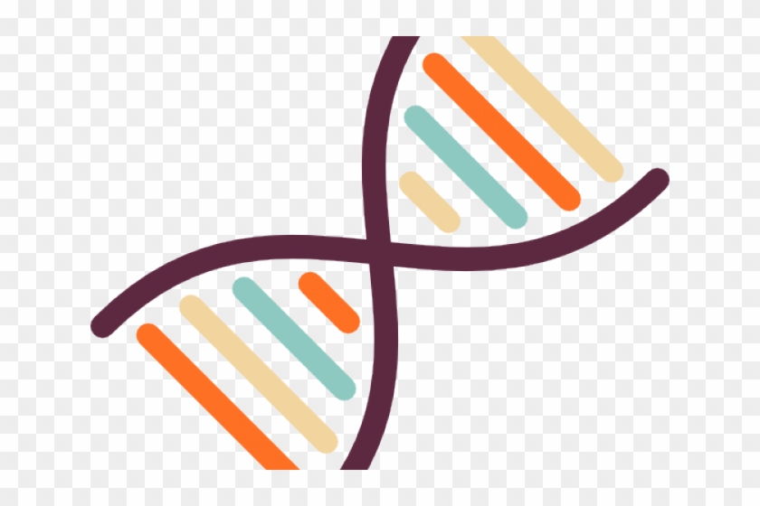 Dna Structure Clipart Clipart Transparent Background - Dna Clipart No Background - Png Download