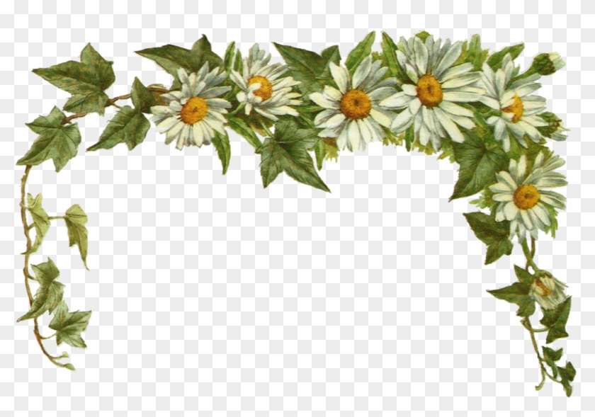 Jinifur Daisy Layer By Jinifur On Clipart Library - Daisy Border Transparent - Png Download