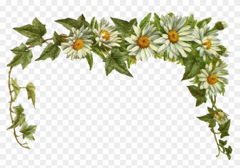 Jinifur Daisy Layer By Jinifur On Clipart Library - Daisy Border Transparent - Png Download #1820266