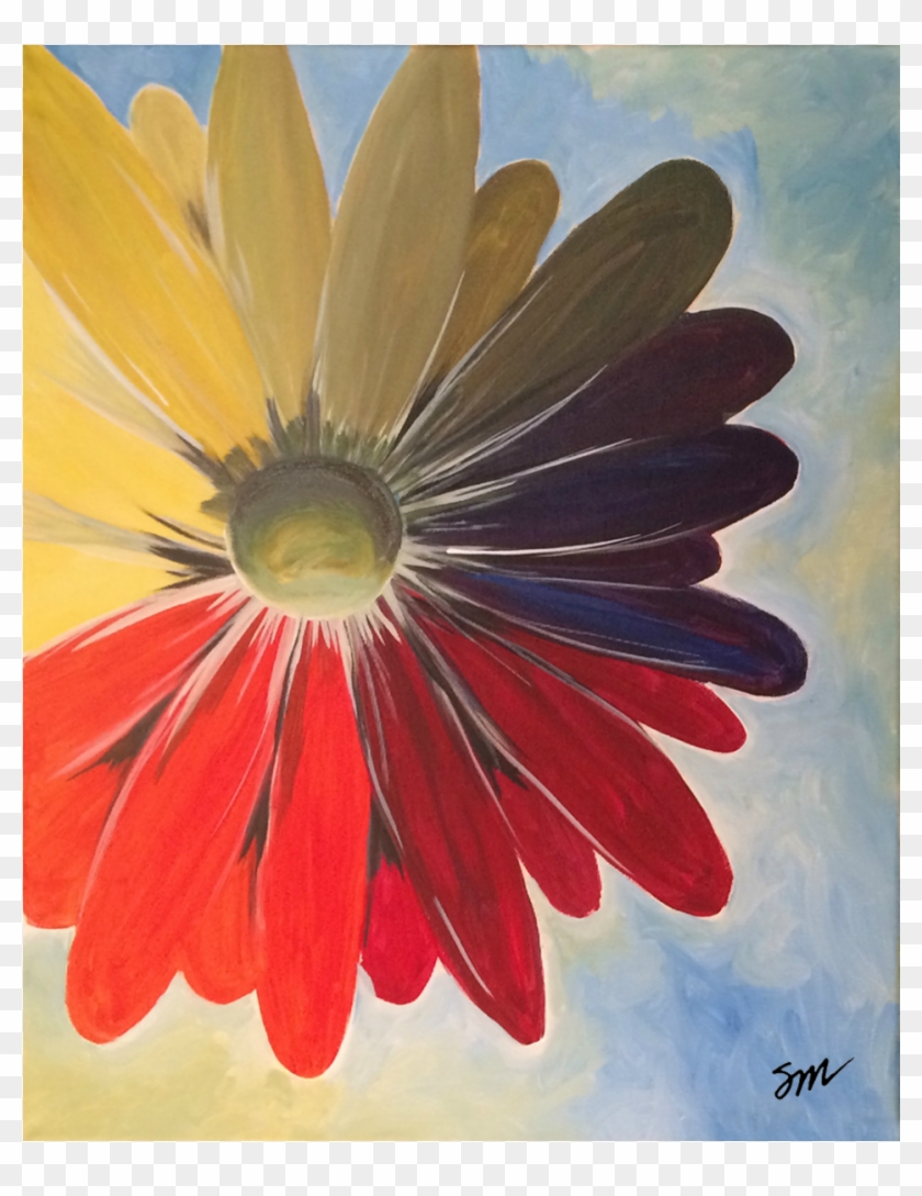 “colorful Daisy” - Barberton Daisy Clipart