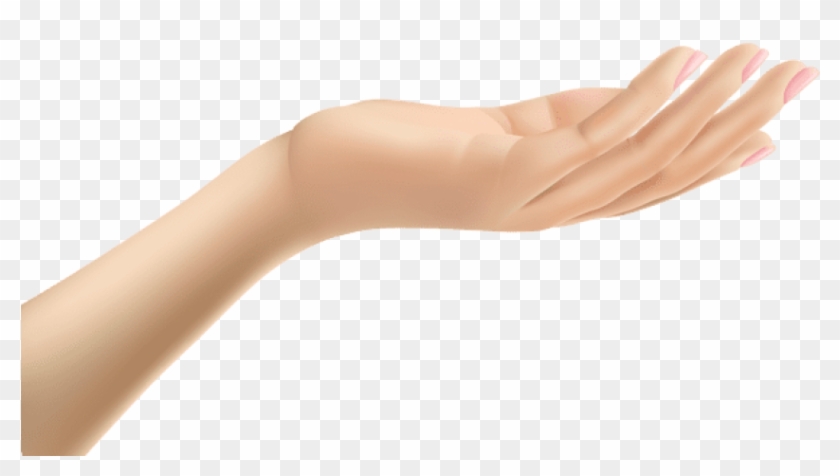 Download Female Hand Clipart Transparent Background - Arm Transparent - Png Download