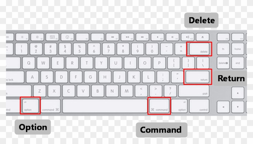 Microsoft Office Tips And Guides - Apple Wired Keyboard Without Numeric Clipart #1821856