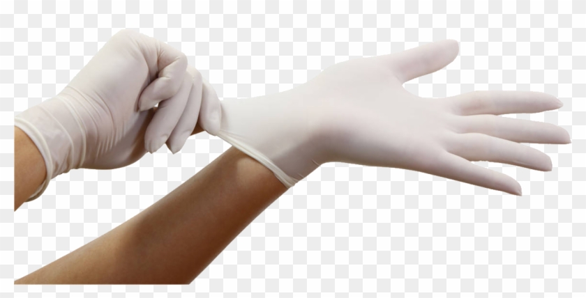 Gloves Png Images Free Download - Surgical Gloves Clipart #1823553