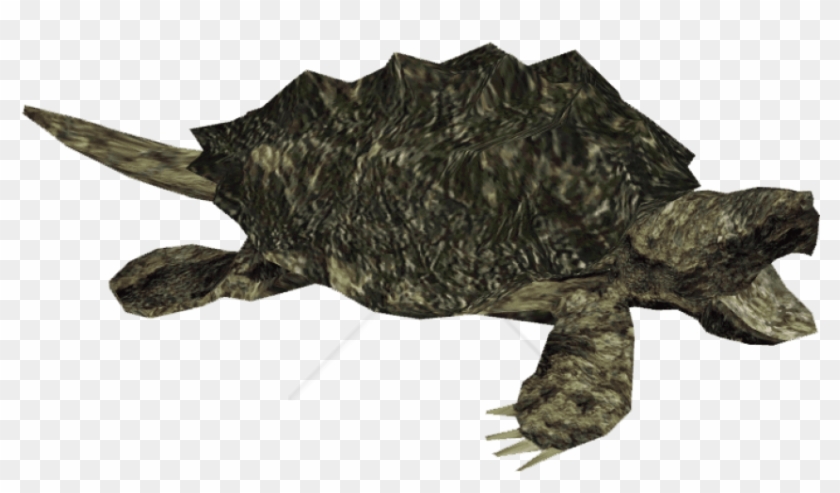 Free Png Snapping Turtle Png Image With Transparent - Alligator Snapping Turtle Clipart #1824262
