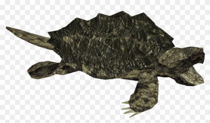 Free Png Snapping Turtle Png Image With Transparent - Alligator Snapping Turtle Clipart